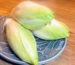 Endive