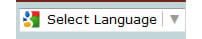 Google Translator