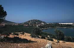 Hilll of the Acropolis