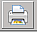 Print Icon
