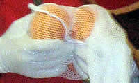 Oranges